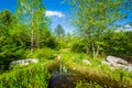 The United States Botanic Garden in Washington, DC Royalty Free Stock Photo