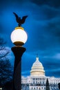 United States Capitol Building with street light with American eagle in the foreground Royalty Free Stock Photo