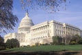 United States Capitol Building, Washington, D.C. Royalty Free Stock Photo