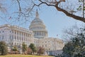 United States Capitol building in Washington DC Royalty Free Stock Photo