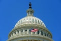 United States Capitol Building in Washington DC, USA Royalty Free Stock Photo