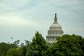 United States Capitol Building in Washington DC,USA.United States Congress Royalty Free Stock Photo