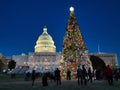 United States Capitol with the Christmas tree in front of it surrounded by people during the night Royalty Free Stock Photo