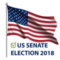 2018 United States elections. US midterm elections 2018: the race for Congress.