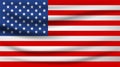 United States Flag Vector Royalty Free Stock Photo