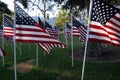 United States Flags. Memorial Day Holiday. Royalty Free Stock Photo