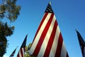 United States Flags. Memorial Day Holiday. Royalty Free Stock Photo
