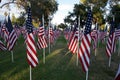 United States Flags. Memorial Day Holiday. Royalty Free Stock Photo