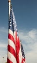American flags Royalty Free Stock Photo
