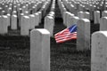 United States Military Cemetery with Headstones for Soldiers Royalty Free Stock Photo