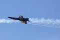 The United States Navy Blue Angels