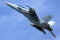 United States Navy Boeing F/A-18F Super Hornet   VFA-106/ Boeing 168890 Royalty Free Stock Photo