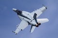 United States Navy Boeing F/A-18F Super Hornet mulitrole fighter aircraft. Royalty Free Stock Photo