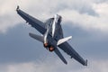 United States Navy Boeing F/A-18F Super Hornet multirole fighter aircraft