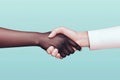 Unity Diversity Interracial Handshake Partnership Cooperation Collaboration Equality Friendship Royalty Free Stock Photo