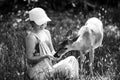 Unity with nature. Girl feed bambi deer. Wild animals concept. Woman feeding fawn. Animal at park. Royalty Free Stock Photo