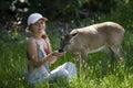 Unity with nature. Girl feed deer. Enviroment protection. Animals care. Woman feeding fawn. Animal park. Royalty Free Stock Photo