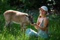 Unity with nature. Girl feed deer. Enviroment protection. Animals care. Woman feeding fawn. Animal park. Royalty Free Stock Photo