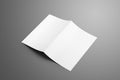 Universal blank one A4, A5 bi-fold brochure with soft shadows