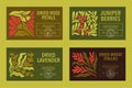 Universal Botanical Label Pack. Square Retro Logos with Stylized Plants, Abstract flowers Royalty Free Stock Photo