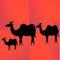 Universal icon depicting three black silhouettes of camels