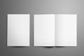 Universal tempalte with two white A4, A5 bi-fold brochures is