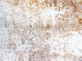 Universal white background with red rust spots