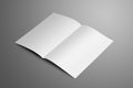 Universal white one A4, A5 bi-fold brochure with soft shadows