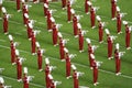 The University of Alabama Million Dollar Band