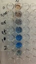 University Lab Experiment Result, Titration