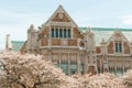 University Building and Cherry Blossoms Royalty Free Stock Photo