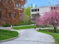 university campus with flowering crab apple tree