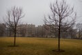 University dorms and yellow field with bare trees on grey winter day