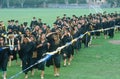 University graduates approaching their ceremony