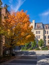 University of Pennsylvania Royalty Free Stock Photo