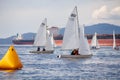 University sailing teams from the Pacific Northwest sail in an FJ regatta in Vancouver Royalty Free Stock Photo