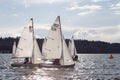 University sailing teams from the Pacific Northwest sail in an FJ regatta in Vancouver Royalty Free Stock Photo
