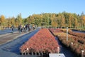 Students at Garden Center Kostelec