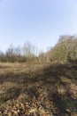 Unkept Open Winter Field On Clear Blue Sky Afternoon Royalty Free Stock Photo