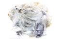 Unknown asbestos mineral Royalty Free Stock Photo