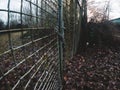 The Unknown Beyond: A Locked Gate and Chain in a Green Area