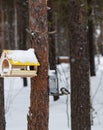 an unknown bird on a feeder in a park in Noyabrsk in winter Royalty Free Stock Photo