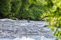 Unknown canoeist, whitewater canoeing at the Minden Wild Water Preserve. Royalty Free Stock Photo