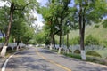 The countryside tree-lined road of changping distict, adobe rgb