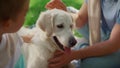 Unknown hands caress dog on picnic closeup. Happy labrador enjoy fondle in park.