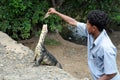 Unknown male feeds the monitor lizard on the island of Ceylon.