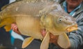 Unknown man holding a big fish in his hands as a trophy. Big ugly large head of a fish caught in a lake