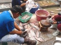 Unknown man sell fresh fish in market of Phayao, Thailand