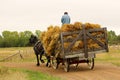 An unknown man on a wagon of hay being pulled by a horse Royalty Free Stock Photo