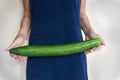 Huge cucumber held by female hands Plain background Royalty Free Stock Photo
